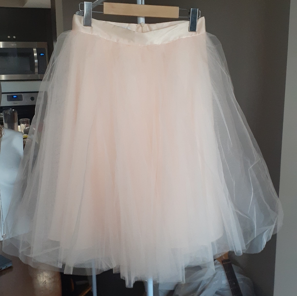 Space 46 The Wendy Tulle Skirt
